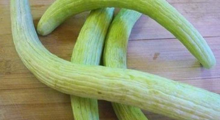 الفقوس في المنام