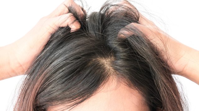 الشعر الفارغ في المنام