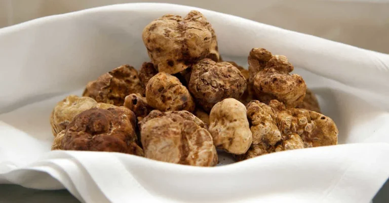 الفقع في الحلم