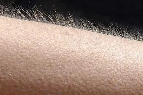 الشعر في اليد في المنام