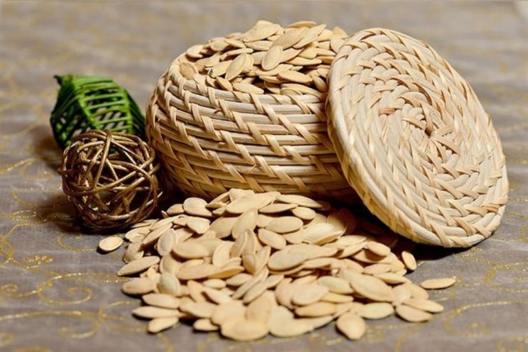 الفصفص في المنام لابن سيرين