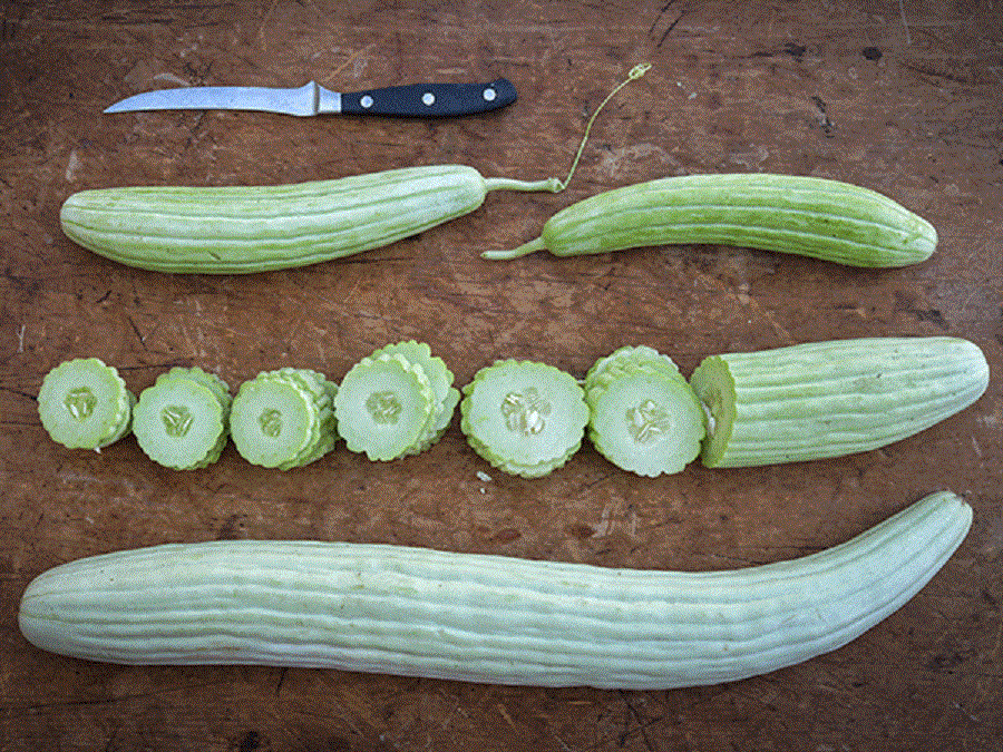 القته في المنام للعزباء