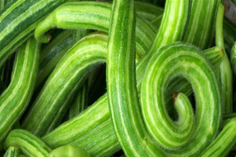 القته في الحلم