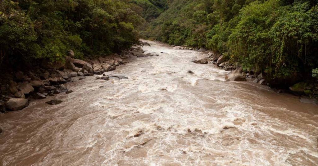 الوقوع في ماء متسخ في المنام